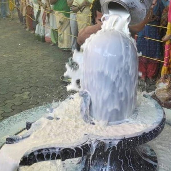 Rudrabhishekam - for Lord Shiva